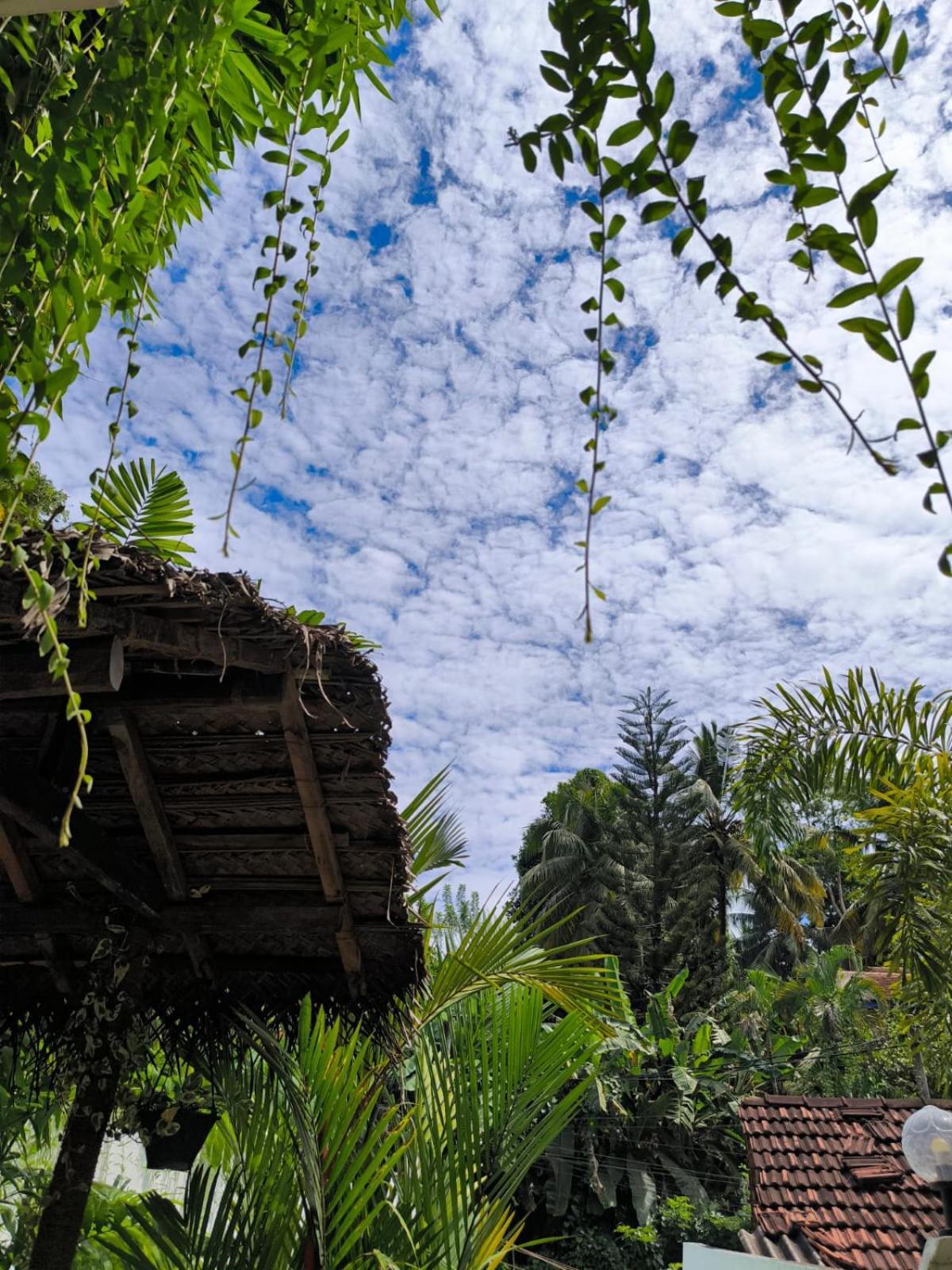 Hidden Villa ฮิกคาดูวา ภายนอก รูปภาพ